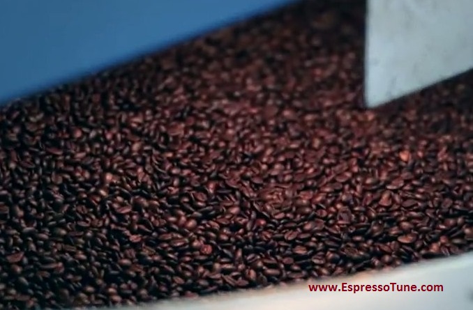 EspressoTune - Organic Coffee - EspressoTune - Organic Coffee